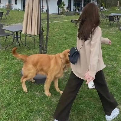 独行杀手