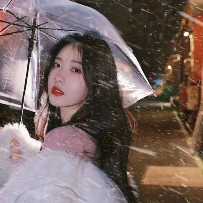 企鹅之岛:福克兰
